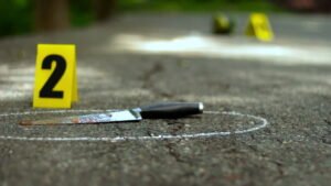 Understanding Political Crime Unearthing the Truth
